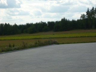 image00019