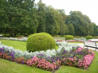 image00216