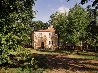 obraz_20100507_1614518566