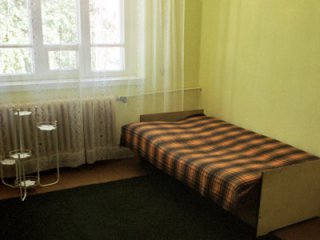 obraz_20100507_1674177531